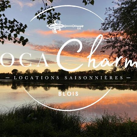 "Gite Le Relais Viennois" Vue Sur Loire & Linge Inclus Блуа Экстерьер фото